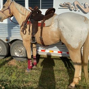 Meet your Posher, Idrene